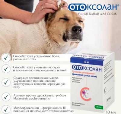 Капли ушные Отоксолан 10мл