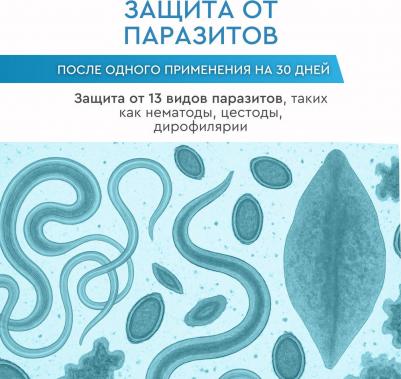 Мильбецин Нео Спот-он Капли на холку антигельминтные для кошек и собак массой до 4-10 кг, 1 пипетка по 1 мл – фото 3