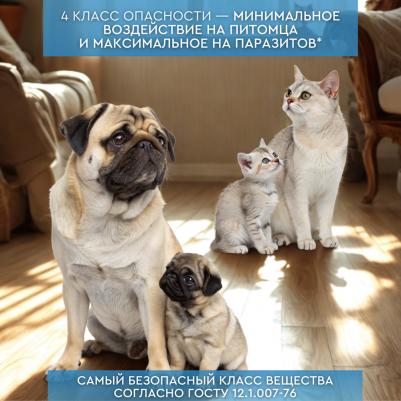 Мильбецин Нео Спот-он Капли на холку антигельминтные для кошек и собак массой до 4-10 кг, 1 пипетка по 1 мл – фото 6