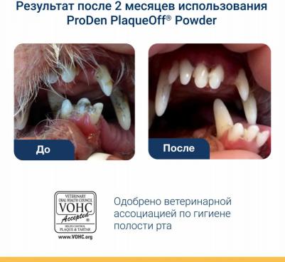 PlaqueOff средство для профилактики зубного камня у собак и кошек – фото 8