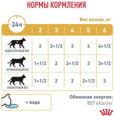 Urinary S/O Влажный корм для кошек при заболеваниях дистального отдела мочевыделительной системы, 85 гр – фото 3