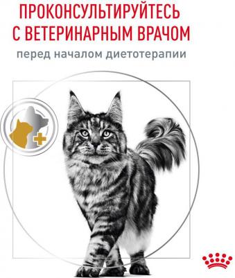 Urinary S/O Влажный корм для кошек при заболеваниях дистального отдела мочевыделительной системы, 85 гр – фото 5