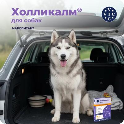 Противорвотное средство Холликалм 60мг, таблетки для собак, 4 табл – фото 3