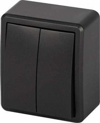 11-1204-05 Выключатель Эксперт 11-1204-05 двойной IP20 10АХ-250В ОУ антрацит, цена за 1 шт – фото 1