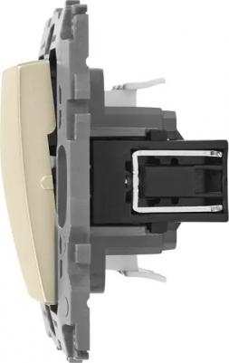 12-1104-04 12-1104-04 Выключатель двойной, 10АХ-250В, IP20, Эра12, шампань, цена за 1 шт – фото 6