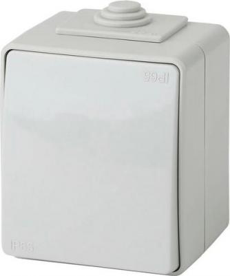 Переключатель одноклавишный Эксперт проходной 10АХ IP65 открытого монтажа серый