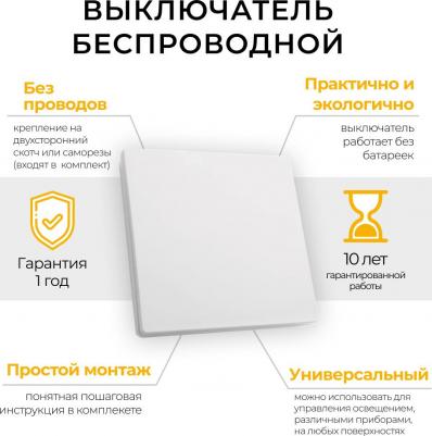 Одноклавишный выключатель дистанционного управления TM81