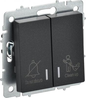 BRITE Выключатель 2-клавишный с индикацией для отелей 10А ВС10-2-9-БрЧ черный, цена за 1 шт