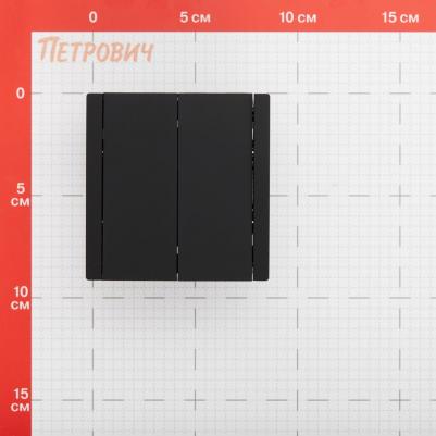 FORTE&PIANO Выключатель 2-клавишный 10А FP105 черный, цена за 1 шт – фото 1
