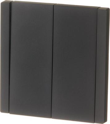 FORTE&PIANO Выключатель 2-клавишный 10А FP105 черный, цена за 1 шт – фото 2