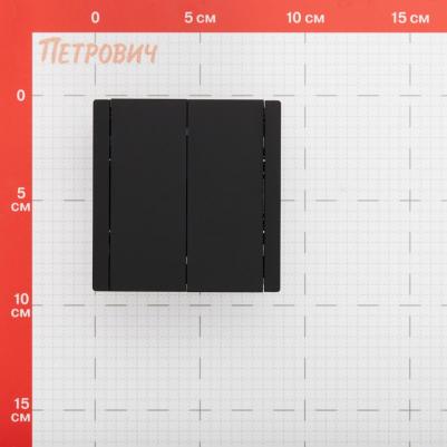 FORTE&PIANO Выключатель 2-клавишный с индикацией 10А FP106 черный, цена за 1 шт – фото 3