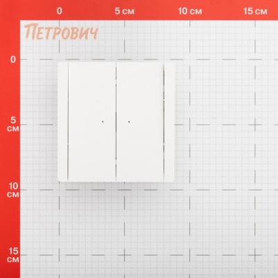 FORTE&PIANO Выключатель 2-клавишный с индикацией 10А FP206 белый, цена за 1 шт – фото 1