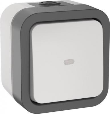 TORS Переключатель одноклавишный с индикацией 10А IP55 TS202 белый, цена за 1 шт