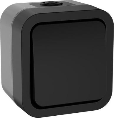 TORS Выключатель двухполюсный одноклавишный 10А IP55 TS111 графит, цена за 1 шт