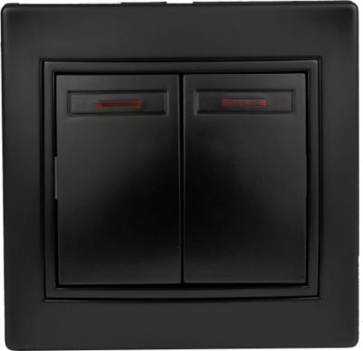 1-105-05 Выключатель Plano 1-105-05 двухклавишный с подсветкой, 10А-250В, IP20, СУ, антрацит, цена за 1 шт