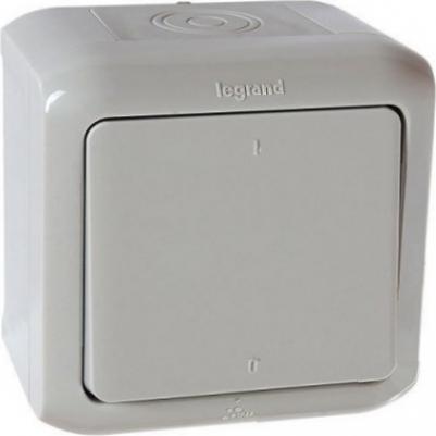 Выключатель одноклавишный двухполюсный Quteo 10A 250V IP44 серый 782339 – фото 1