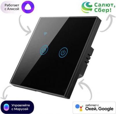 Умный двухкнопочный сенсорный выключатель SWSEN01-2W
