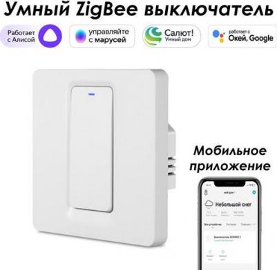 Выключатель Zigbee SZBTN01-2P