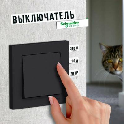 Выключатель 1-кл. СП AtlasDesign 10А IP20 10AX в сборе карбон SchE ATN001012 – фото 1