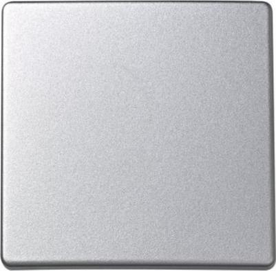 Клавиша для выключателя одноклавишного S73 Loft