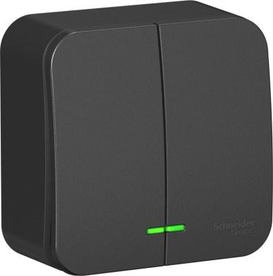 SE Blanca наруж Антрацит Выключатель 2-клавишный с подсветкой 10А,250B, изолир. пластина – фото 1