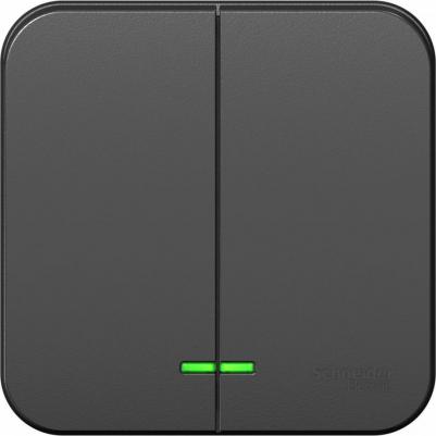 SE Blanca наруж Антрацит Выключатель 2-клавишный с подсветкой 10А,250B, изолир. пластина – фото 5