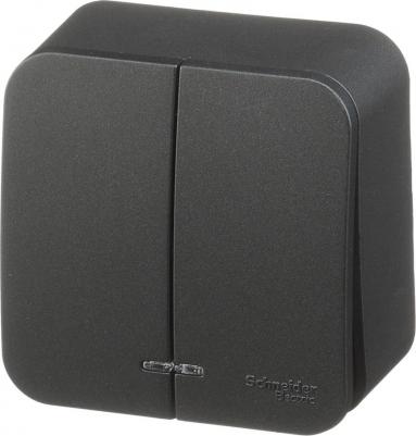 SE Blanca наруж Антрацит Выключатель 2-клавишный с подсветкой 10А,250B, изолир. пластина – фото 6