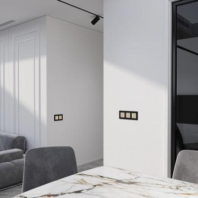 Умный сенсорный выключатель одноклавишный W4523011 шампань 1000 Вт soft touch – фото 3