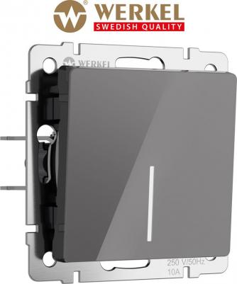 Встр. проходной одноклавишный выключатель с подсветкой W1112144 10А акрил графит – фото 2