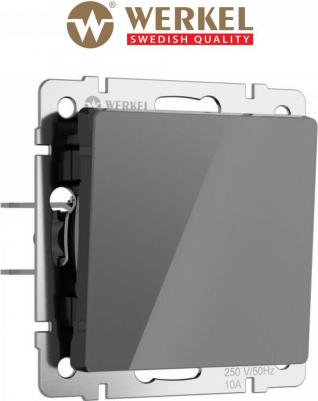 Встраиваемый проходной одноклавишный выключатель W1112044 10А акрил графит – фото 1