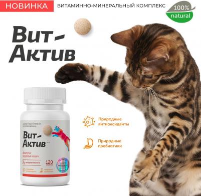 Биологически активная кормовая добавка для кошек Вит-АктиВ, 120таб – фото 1