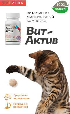 Биологически активная кормовая добавка для кошек Вит-Актив формула здоровья, 120таб – фото 3