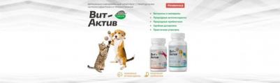Биологически активная кормовая добавка для котят Вит-Актив, 120таб – фото 2