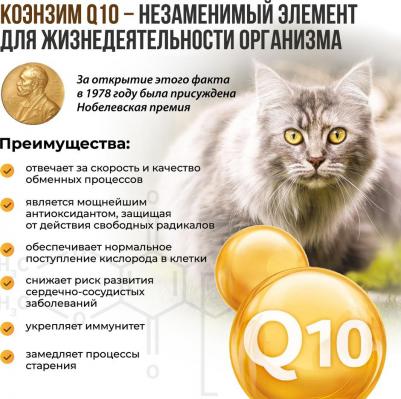 BiotinPlus с Q10 200 таб для кошек улучшает состояние кожи и шерсти – фото 1