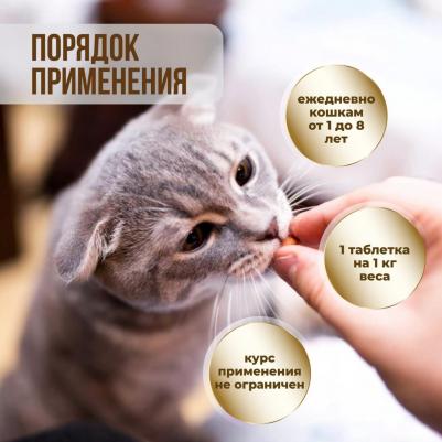 ImmunoCat с Q10 для кошек (120 таб.) – фото 2