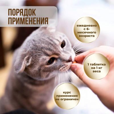 Витамины BiotinPlus с Q10 для кошек 120 таб – фото 11