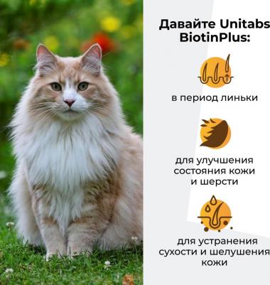 Витамины BiotinPlus с Q10 для кошек 120 таб – фото 14