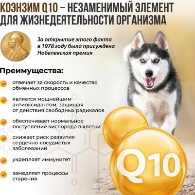 CalciPlus с Q10 200 таб c кальцием, фосфором и витамином D для собак – фото 11