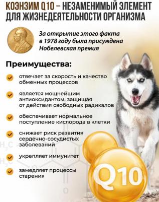CalciPlus с Q10 200 таб c кальцием, фосфором и витамином D для собак – фото 13