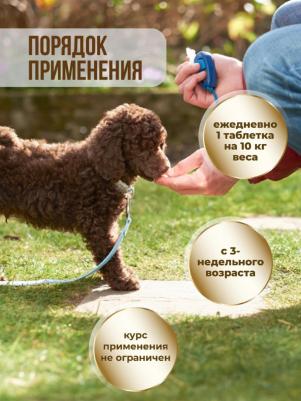 CalciPlus с Q10 200 таб c кальцием, фосфором и витамином D для собак – фото 16