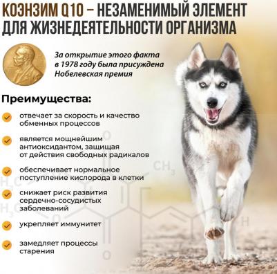 ImmunoComplex с Q10 100 таб для мелких собак – фото 14