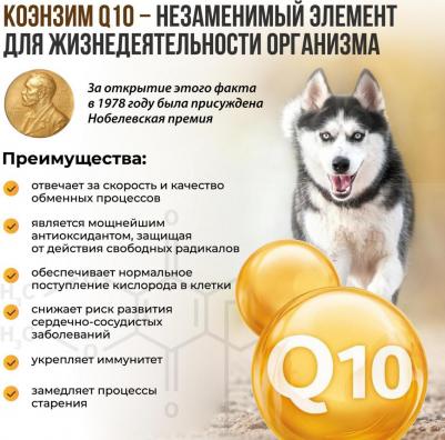 Таблетки BrewersComplex с Q10 для мелких собак – фото 4