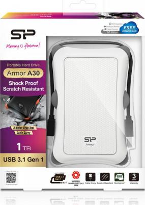 SP010TBPHDA30S3W – фото 11