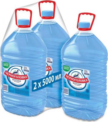 Вода Вкусная питьевая негазированная 5л – фото 7