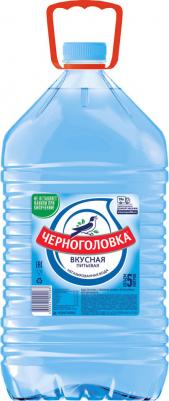 Вода Вкусная питьевая негазированная 5л – фото 9
