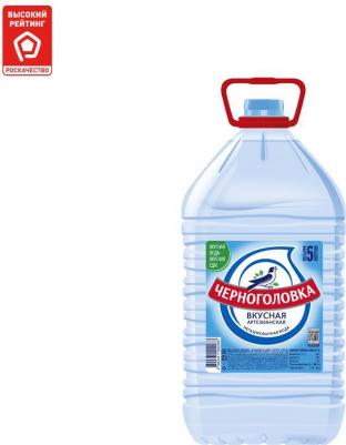 Вода Вкусная питьевая негазированная 5л – фото 12
