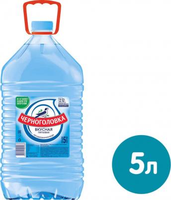 Вода Вкусная питьевая негазированная 5л – фото 18