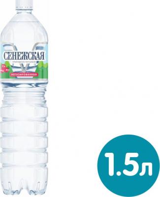 Вода минеральная «Cенежская» без газа, 1,5 л – фото 2