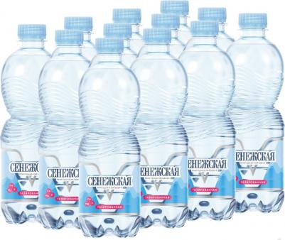 Вода минеральная гидрокарбонатная кальциево-магниевая с газом, 500 мл