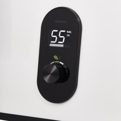 EWH 30 Gladius – фото 1